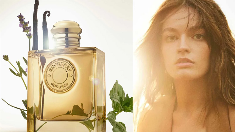 Burberry Goddess Intense traz uma leoa ainda mais poderosa!